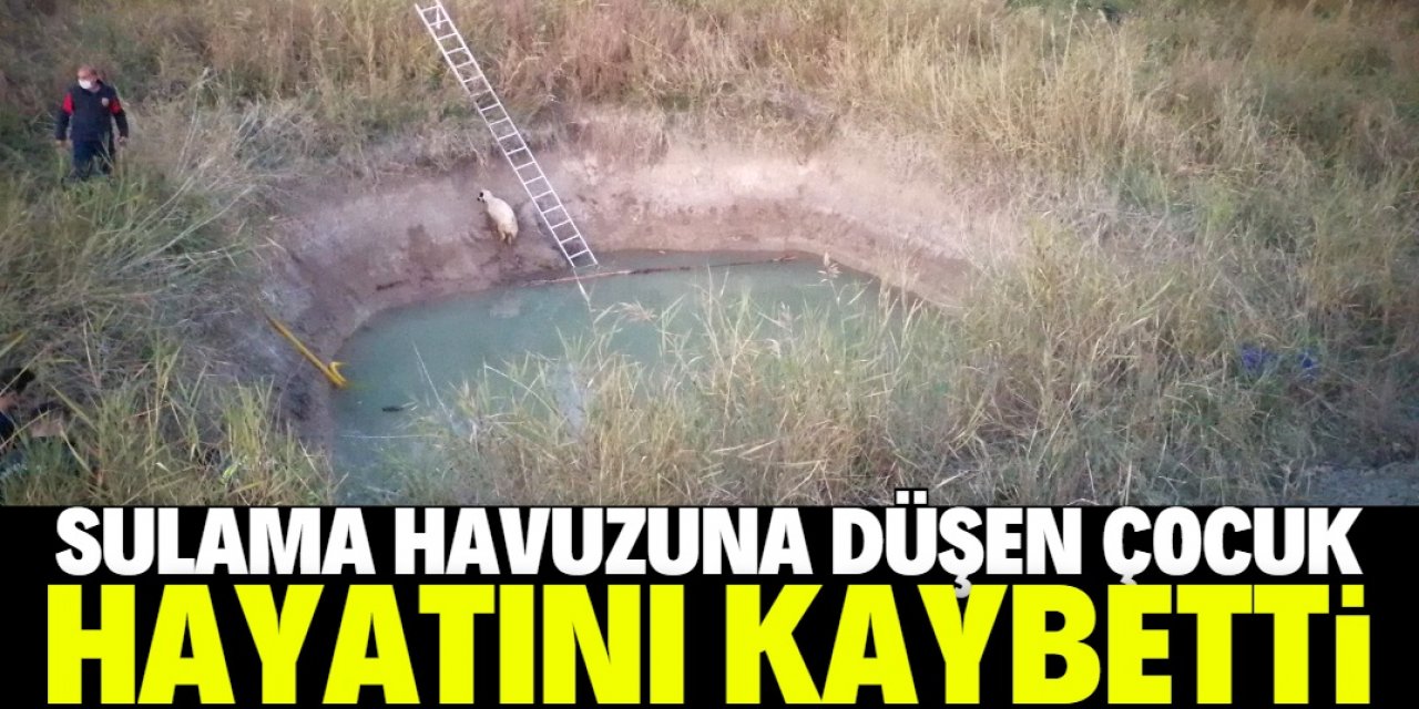 Konya'da sulama havuzuna düşen koyunu kurtarmak isteyen çocuk öldü
