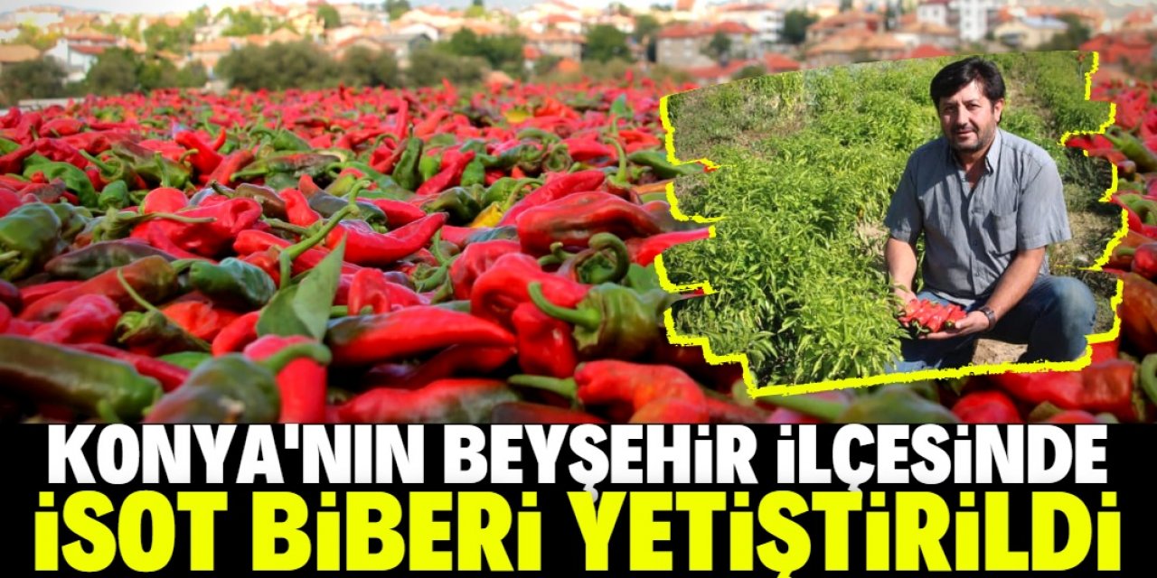 Beyşehir'de isot biberi yetiştirildi