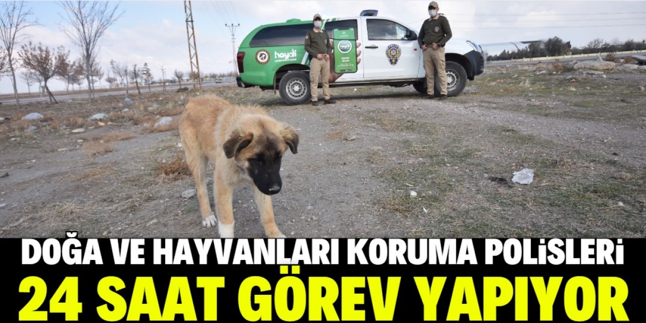 Konya'da çevre, doğa ve hayvanları koruma polisleri 24 saat görev başında