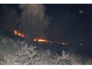 Hatay'da Yangın: 20 Hektarlık Ormanlık Alan Zarar Gördü