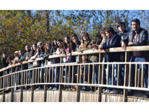 Mimar Öğrenciler Kozan’da