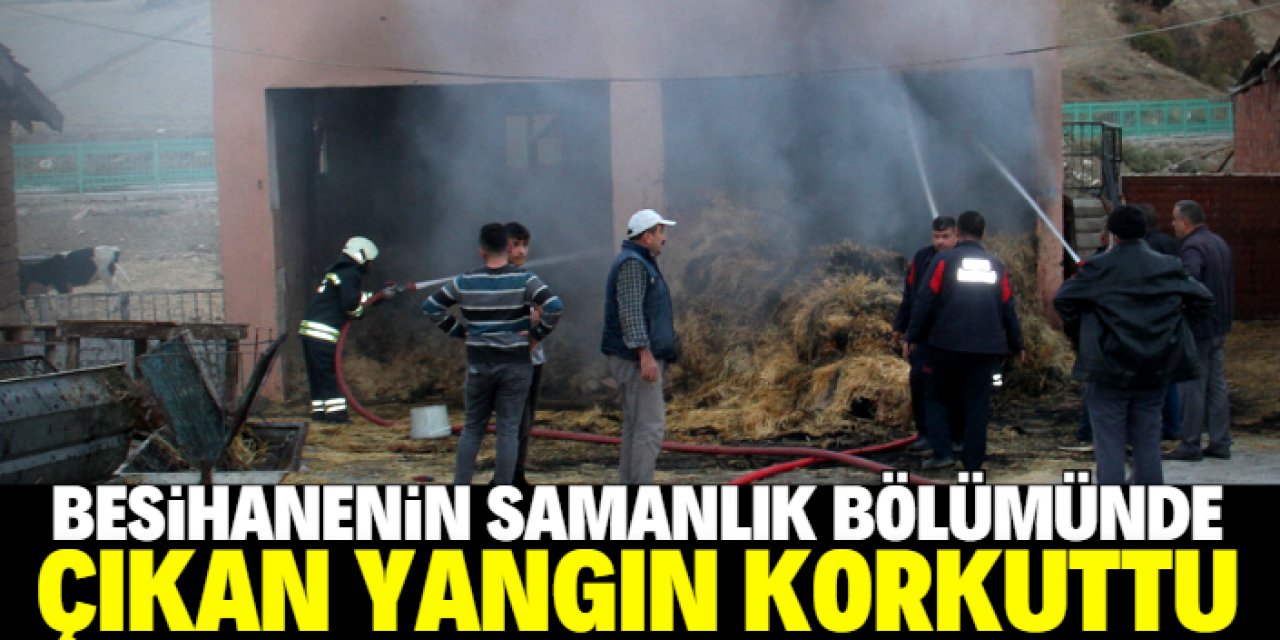 Beyşehir'de samanlık yangını paniğe yol açtı