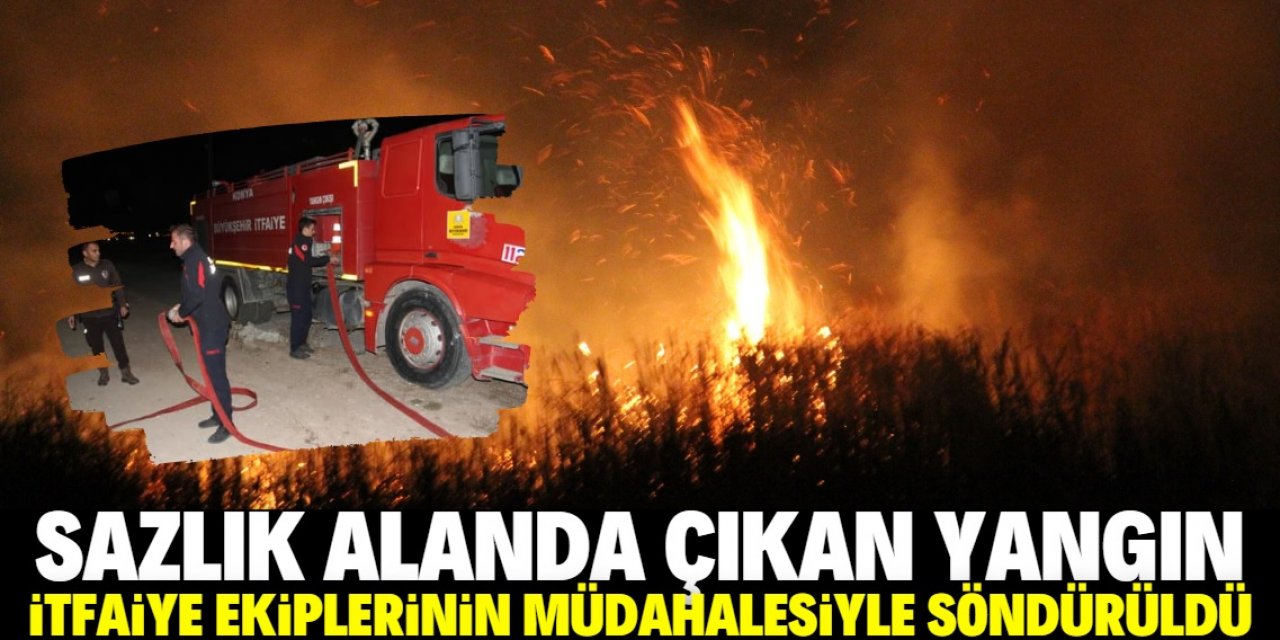 Konya'da sazlık alanda çıkan yangın söndürüldü
