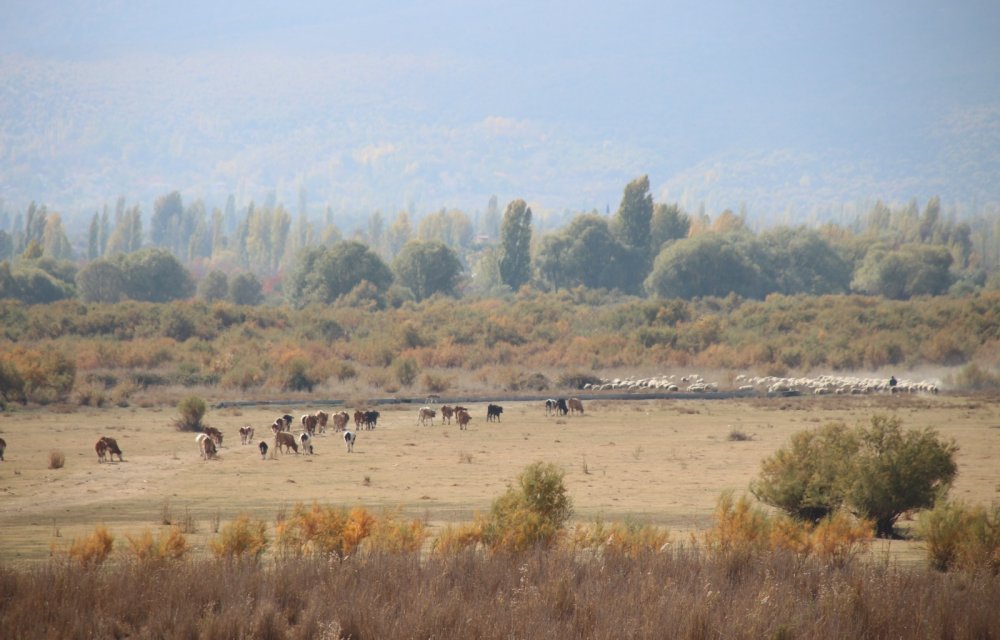 Tamamen kuruyan Akşehir Gölü'nün tabanında su bulundu