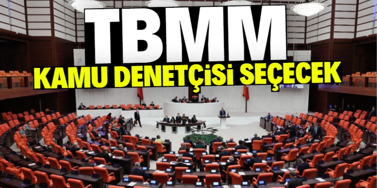 TBMM, bir kamu denetçisi seçecek