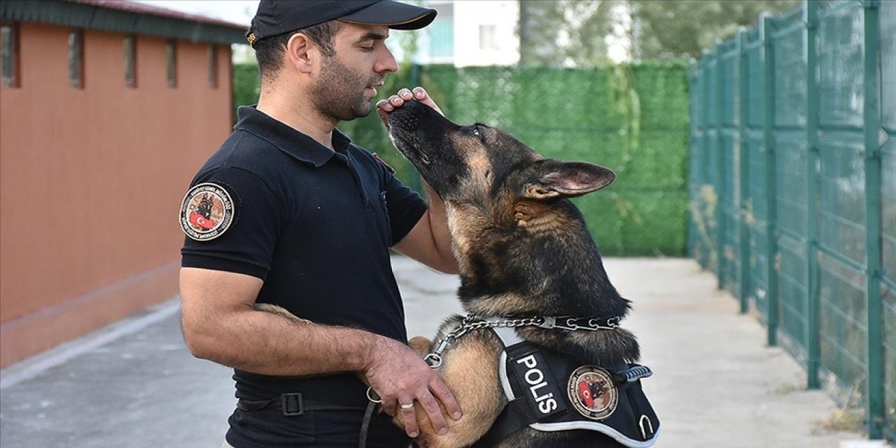 Polisin iz takipte 'hassas burunlu' yardımcısı