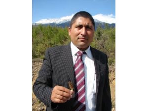 'Dershanelerin Kapatılması Avrupa İnsan Hakları Sözleşmesi'ne Aykırı'