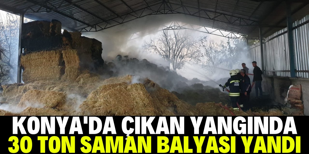 Konya'daki yangında 30 ton saman yandı