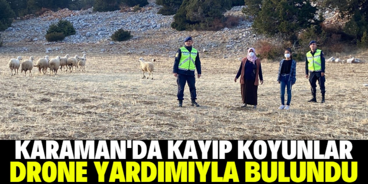 Karaman'da jandarma ekipleri kayıp koyunları drone yardımıyla buldu