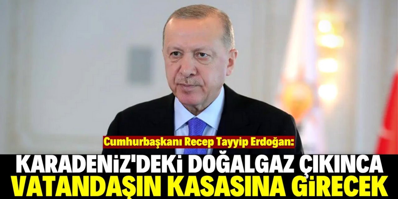 Erdoğan yine bir doğalgaz müjdesi verdi