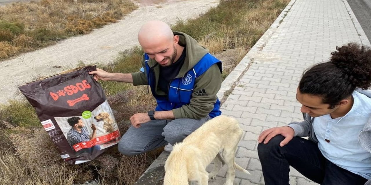 Karapınar'da Gençlik Merkezi gönüllüleri sokak hayvanlarına yem verdi