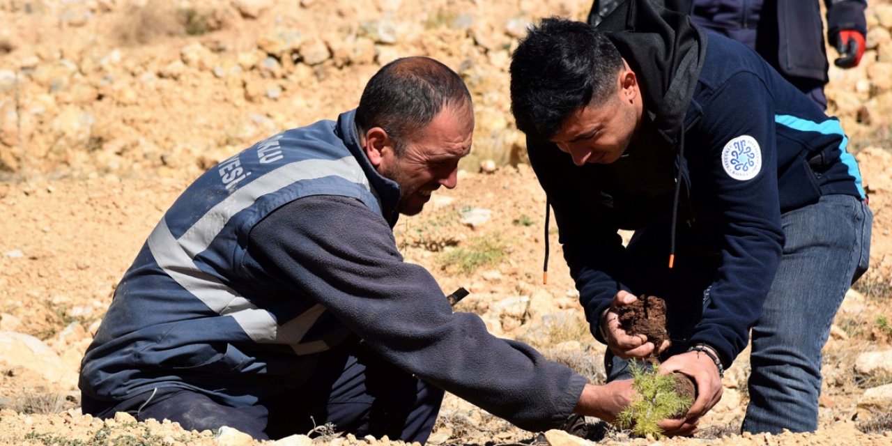 Selçuklu doğaya 17 bin yeni fidan kazandırdı