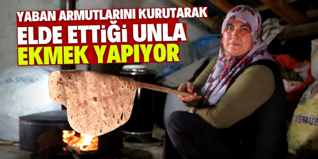 Yaban armutları geleneksel yöntemle ekmek oluyor