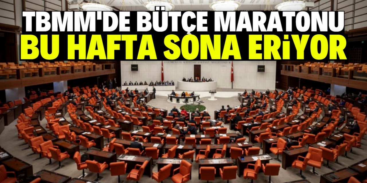 TBMM'de bütçe maratonu bu hafta sona eriyor