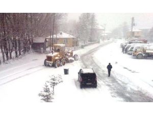 Ordu Beyaza Büründü