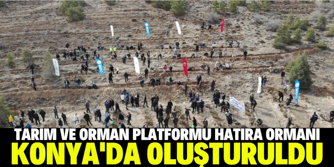 Konya'da "Tarım ve Orman Platformu Hatıra Ormanı" oluşturuldu