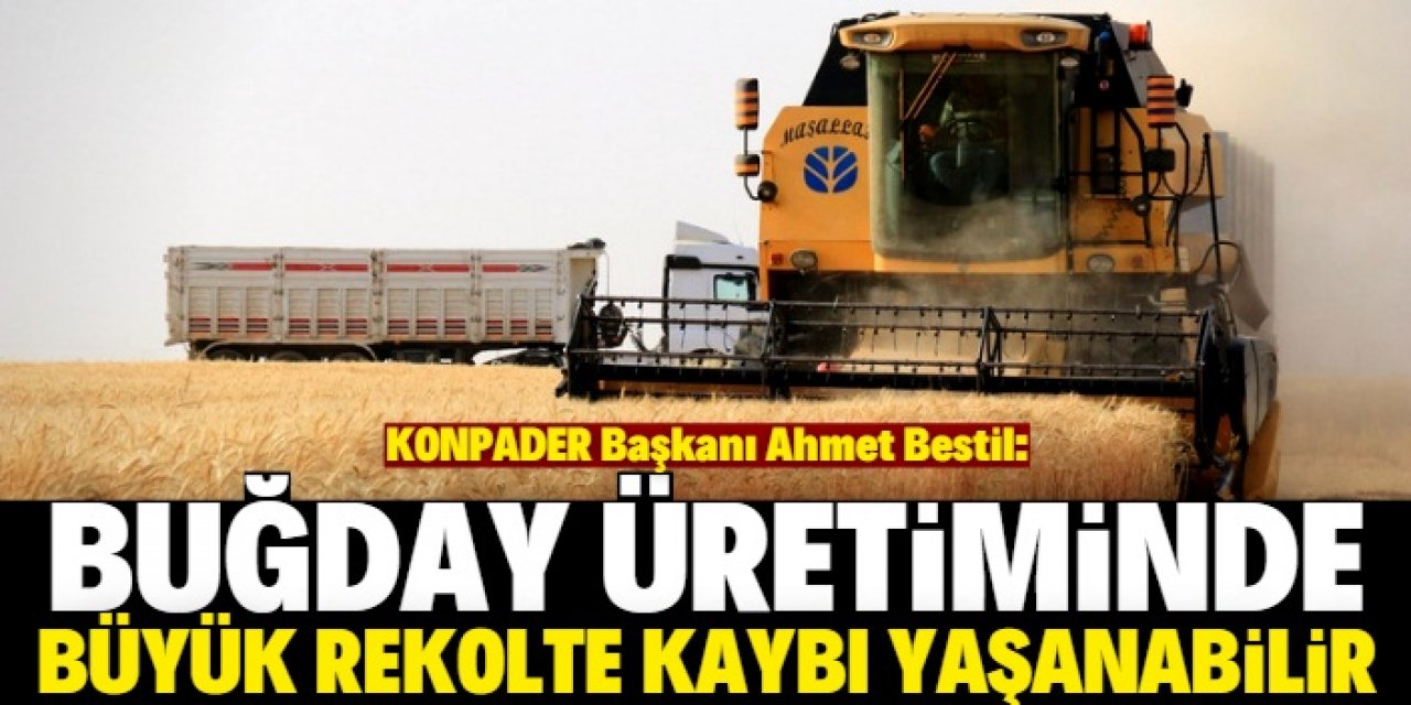 Buğdayda kriz uyarısı!