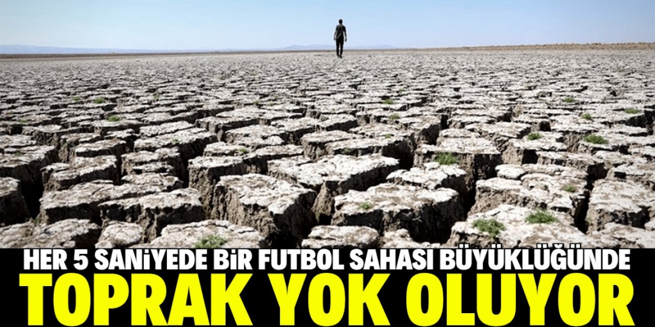 Dünyada her 5 saniyede bir futbol sahası büyüklüğünde toprak yok oluyor