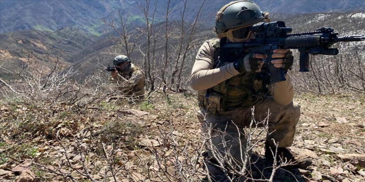 Terör örgütü PKK'nın sözde 'eyalet' sorumlusu etkisiz hale getirildi