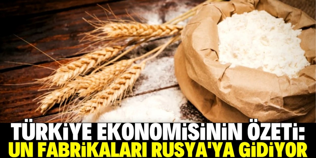 Türkiye'deki un fabrikaları yatırım için Rusya'ya gidiyor