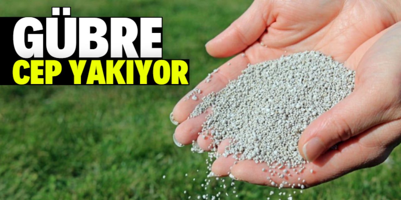 Gübre fiyatlarında neler oluyor?