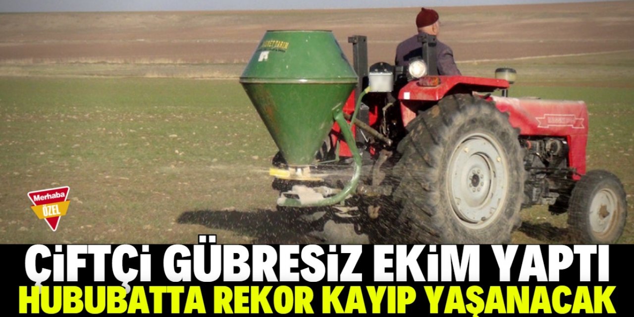 Hububatta rekor kayıp yaşanacak