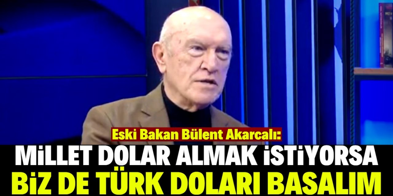 Eski bakandan Türk doları önerisi!