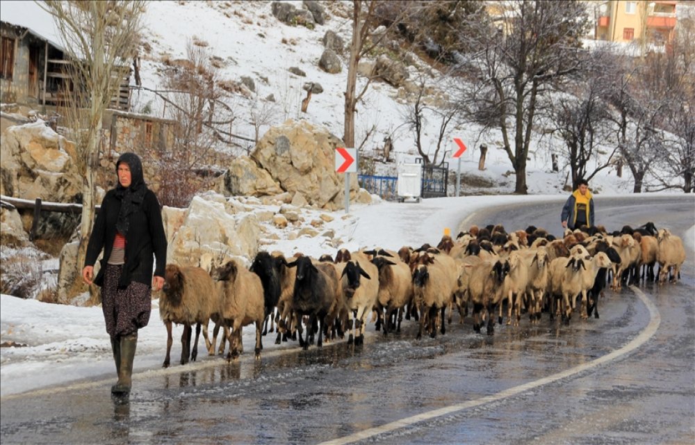 Kar yağışı yörükleri sahillere göç ettiriyor