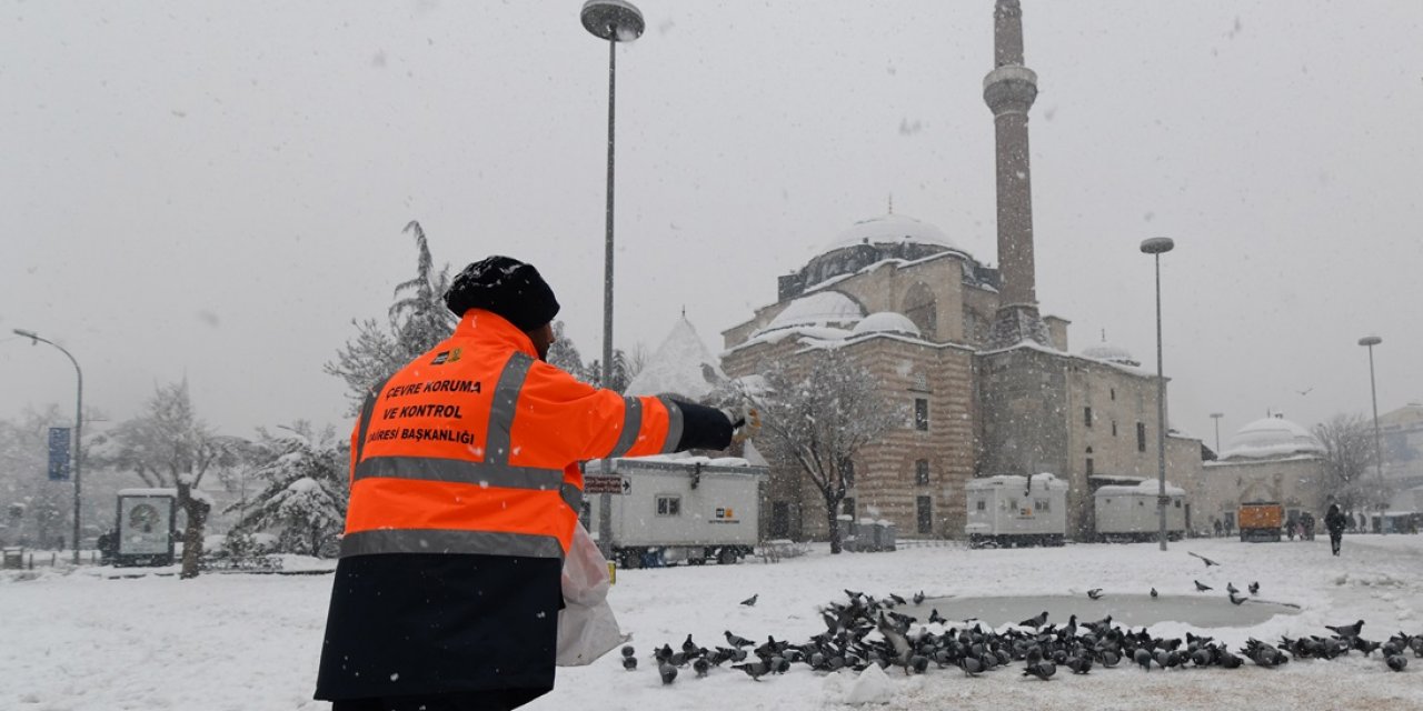 Büyükşehir sokak hayvanlarını unutmadı