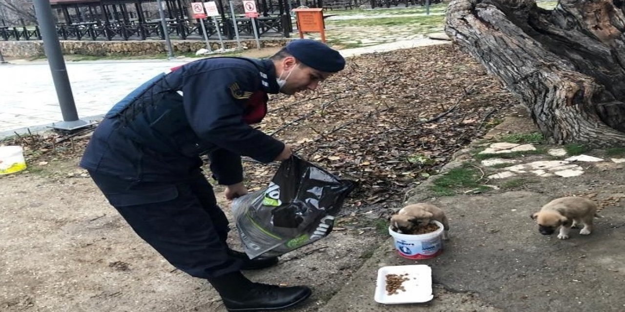 Konya’da jandarmadan takdir toplayan davranış