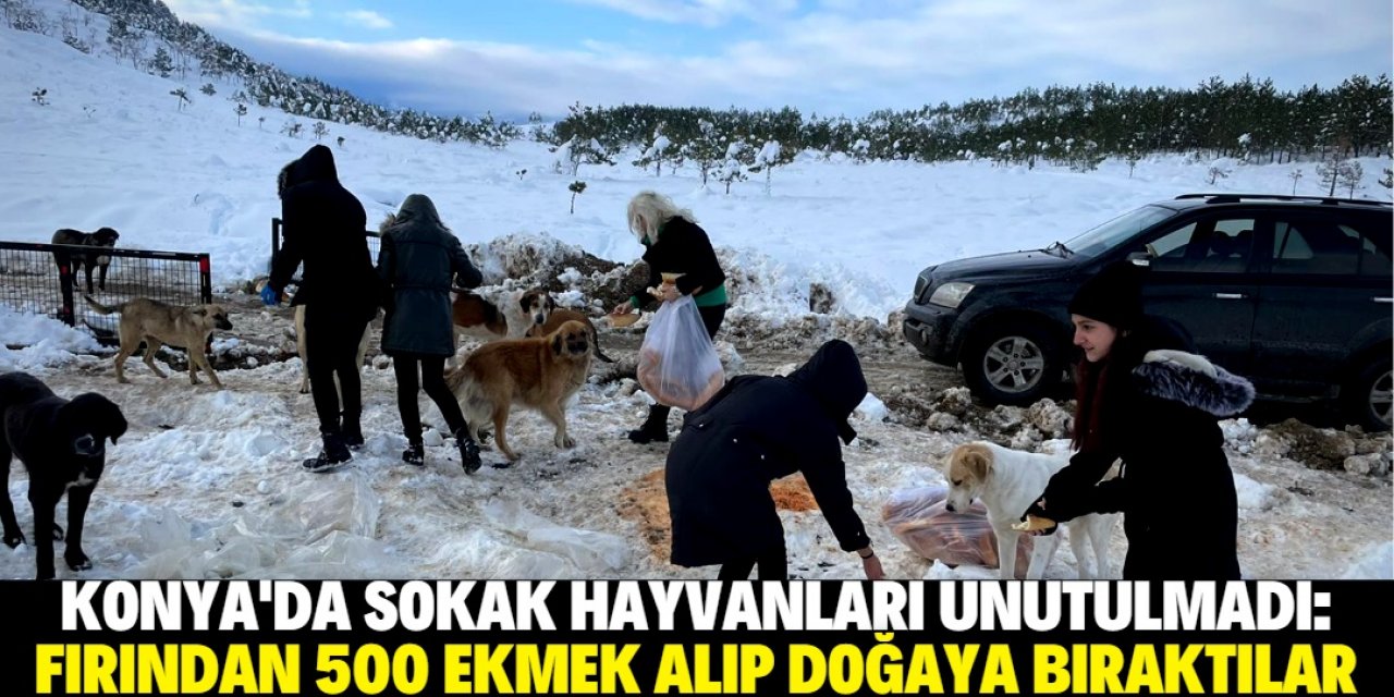 Konya'da 500 kilo buğday ve 500 ekmek doğaya bırakıldı