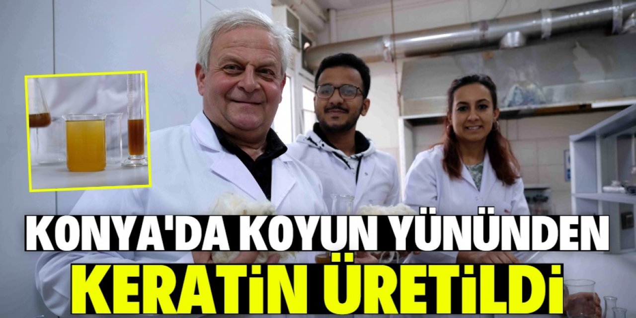 Koyun yününden keratin üretildi