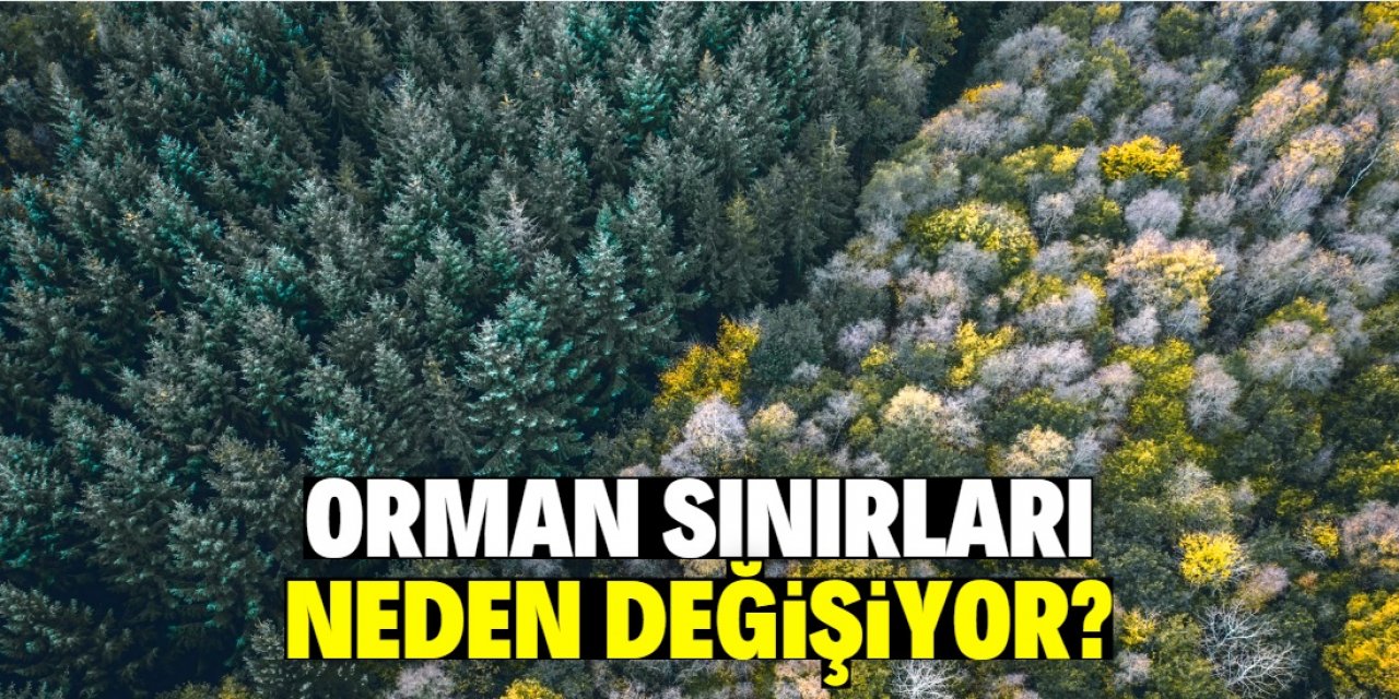 109 hektar alan orman sınırı dışına çıkartıldı