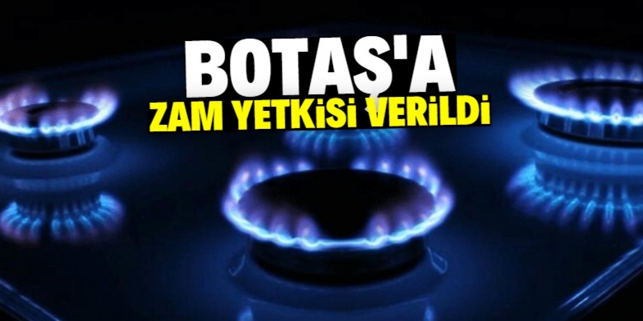 Doğalgaza zam yetkisi BOTAŞ’a verildi