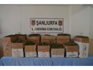 Şanlıurfa’da 84 Kilogram Uyuşturucu Ele Geçirildi