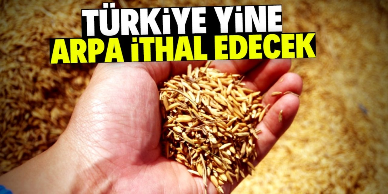 Türkiye onuncu kez arpa ithalatı yapacak