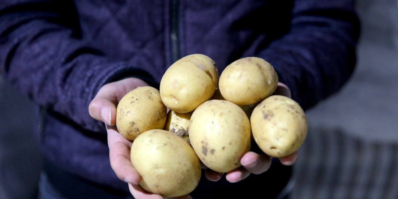 Konya Şeker patates bedellerini bu tarihte ödeyecek