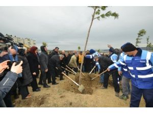 İzmir’e 582 Bin Ağaç Dikilecek