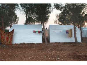 Suriye'nin Sefiyra Şehrinden 140 Bin Suriyeli Göç Etti