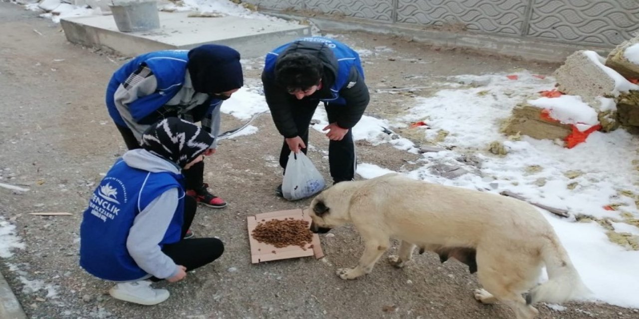 Karapınar'da sokak hayvanlarına yem verildi