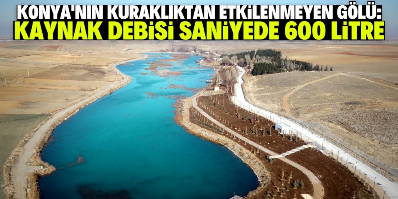 Konya için kritik öneme sahip göl: Beşgöz