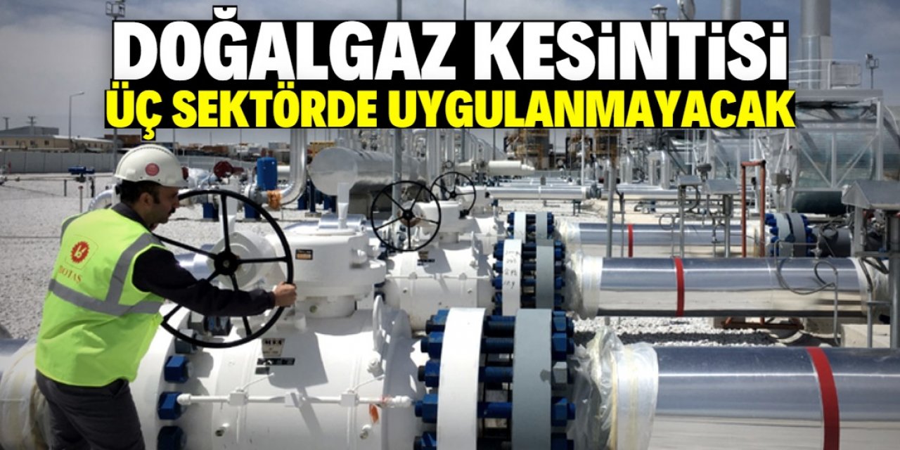 Doğalgaz kesintisi üç sektör için uygulanmayacak