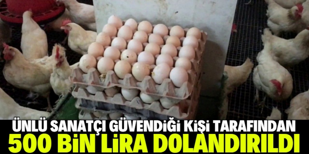 Yumurta işine giren ünlü isim 500 bin lira dolandırıldı