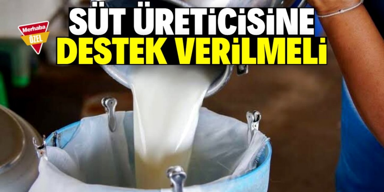 Süt üreticisine verilen destek artırılmalı