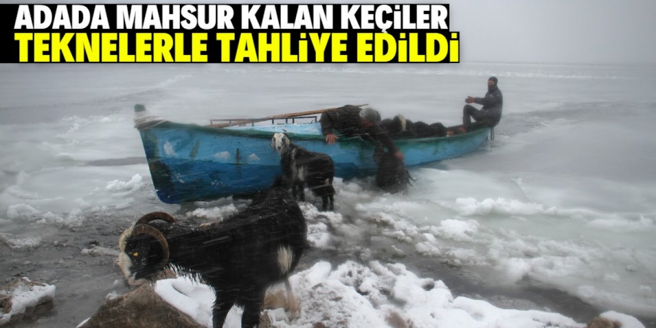 Beyşehir Gölü'nde adada mahsur kalan küçükbaş hayvanlar teknelerle tahliye edildi
