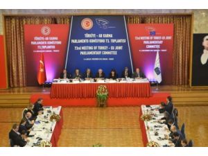 Çiçek: Ab Ülkeleri Teröre Yönelik Tutumunu Gözden Geçirmeli