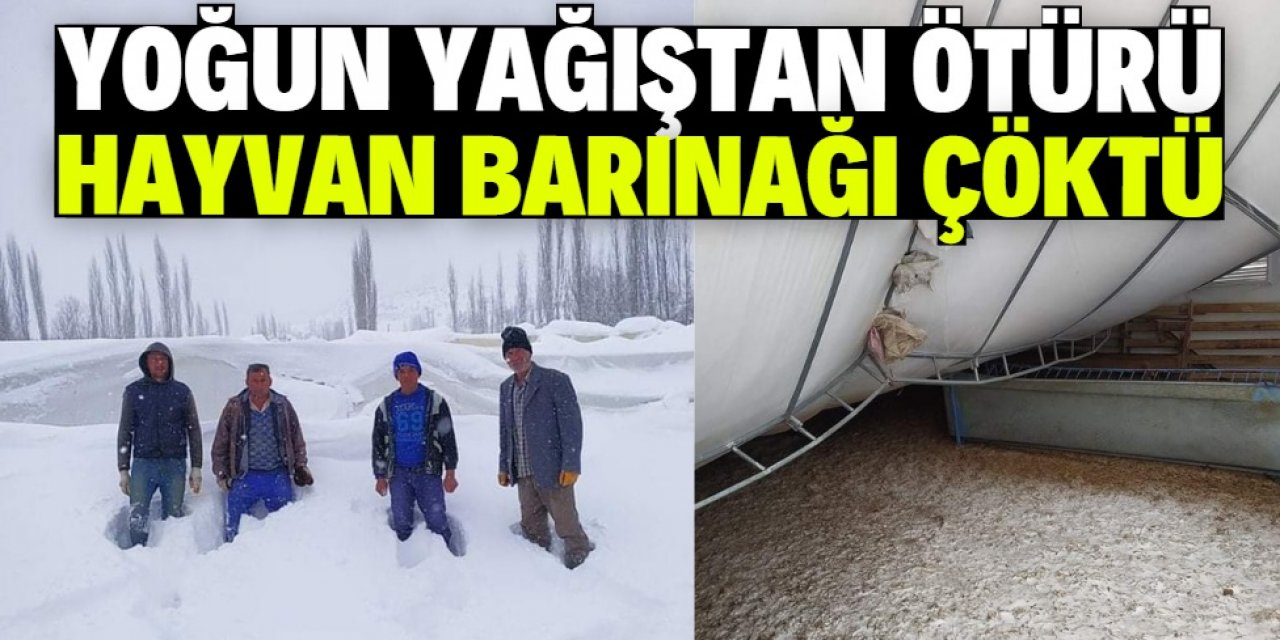 Yoğun yağıştan ötürü hayvan barınağı çöktü!