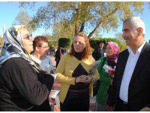 Mhp Manavgat Kadın Kolları Başkanı Gödek Oldu