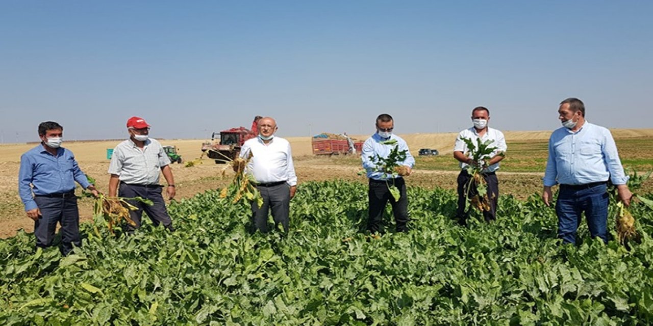 Çiftçiler, kotadan ötürü pancar ekimini bıraktı