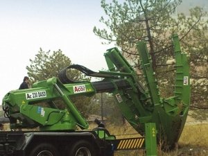 Ağaçları kökünden sökmede bir ilk